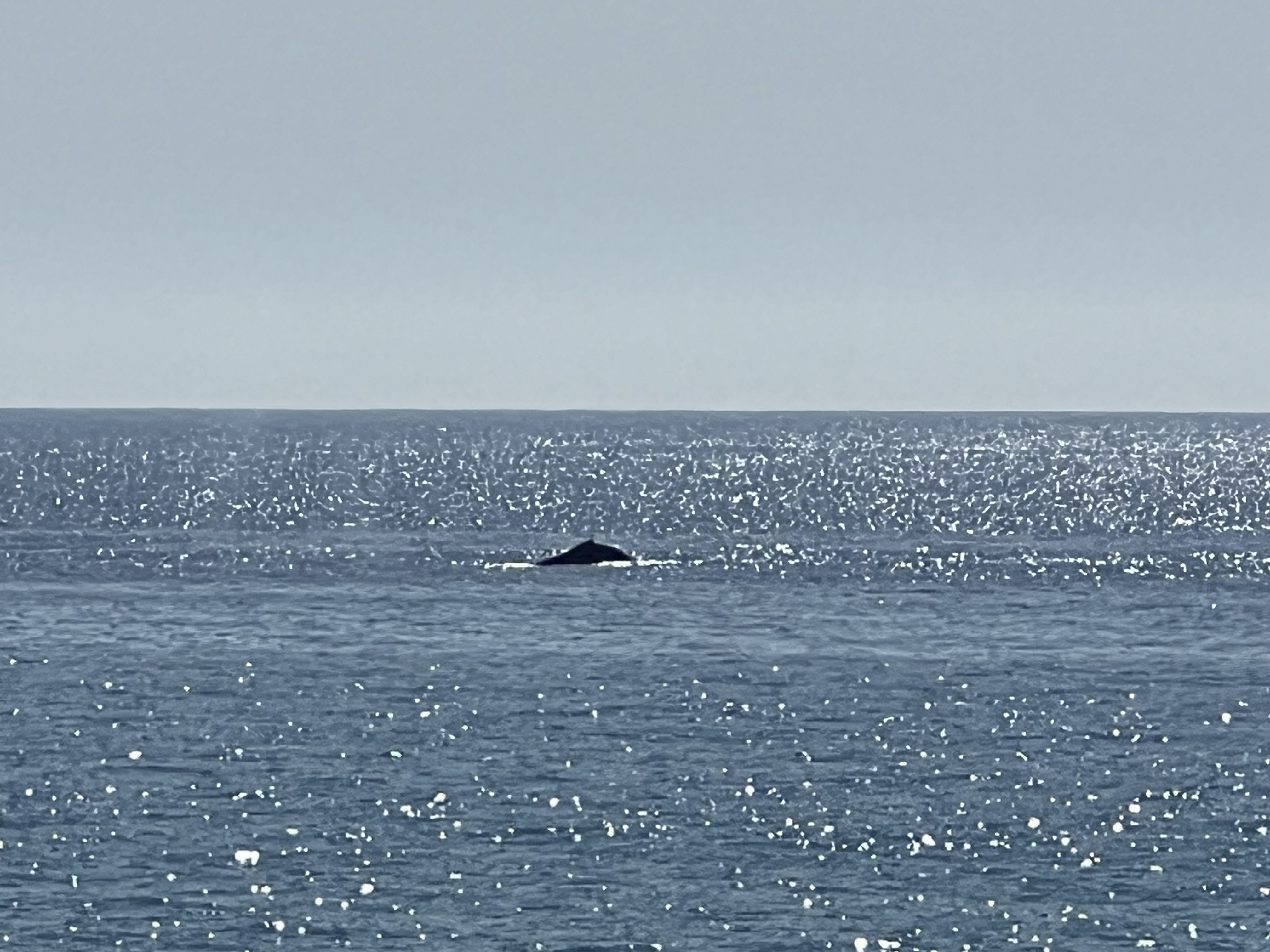 ./2024/13 - Cabo/IMG_4604.jpg